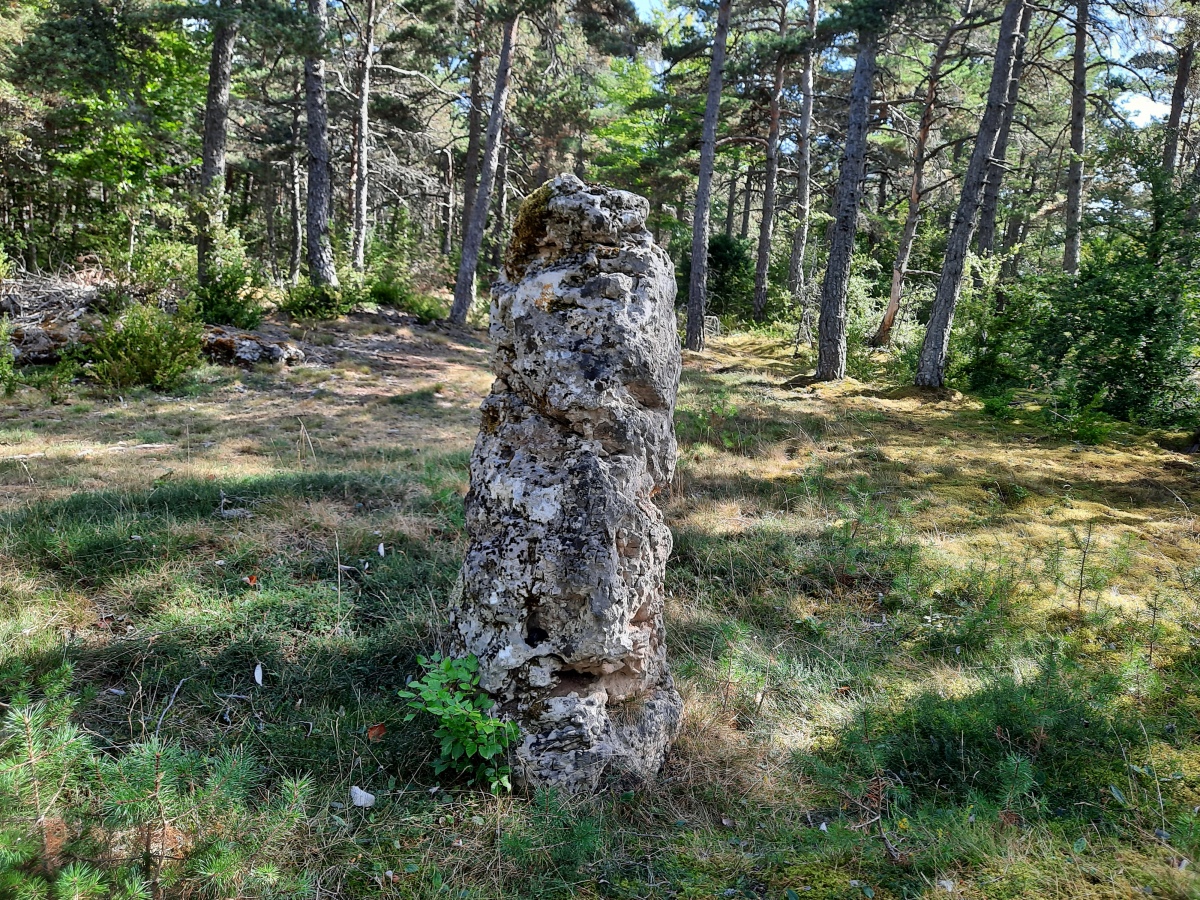 Menhirs des Cayrades