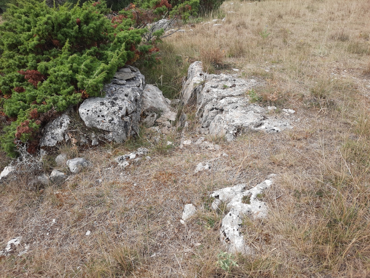 Dolmen du Luc