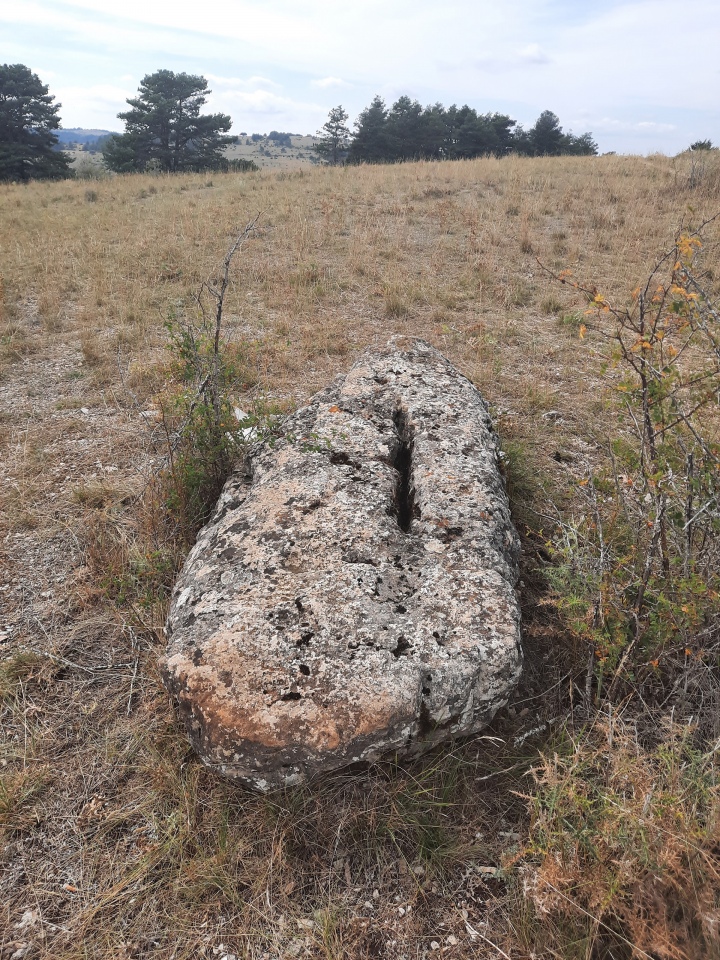 Menhir du Luc