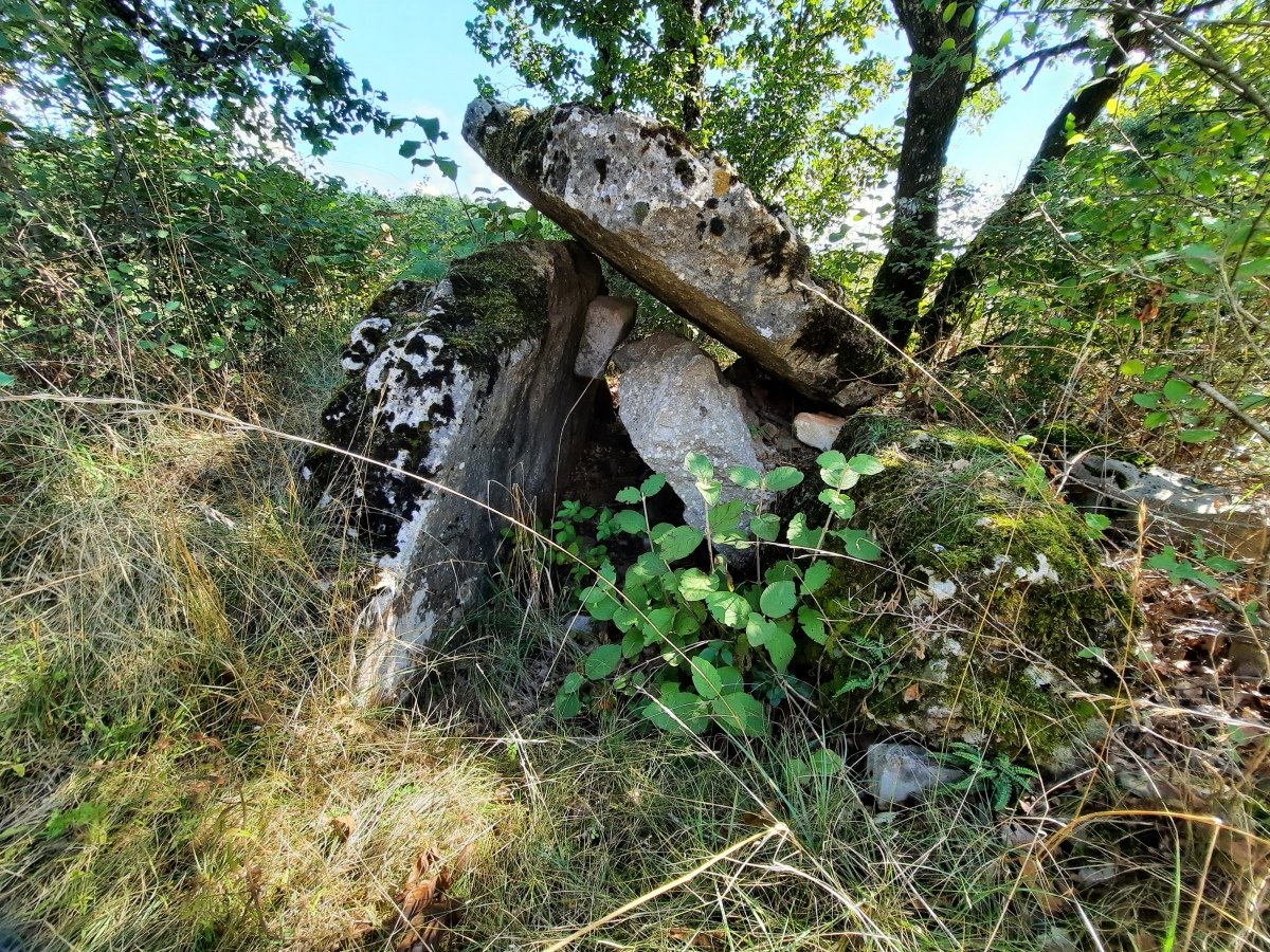 Dolmen de Puech Ibilié