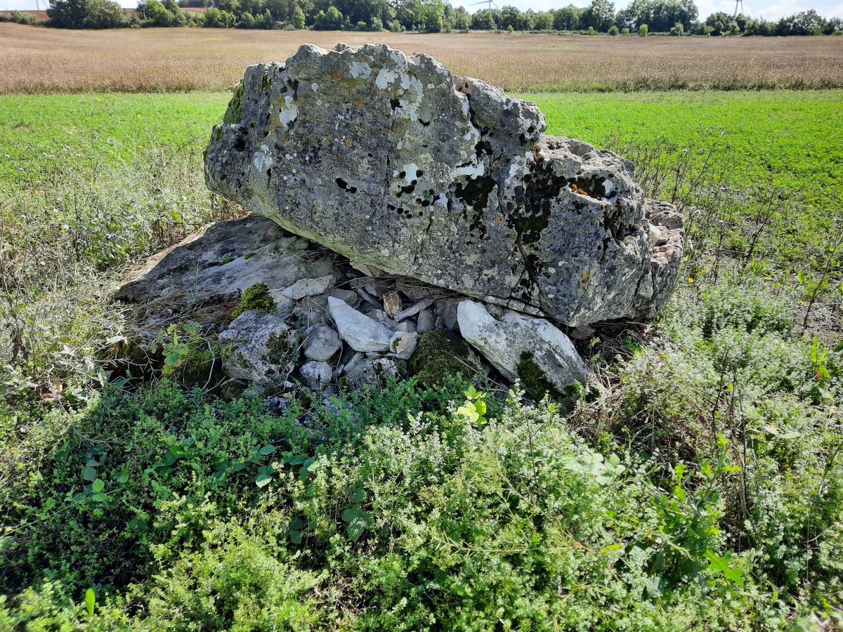 Dolmen des Faydunes 2