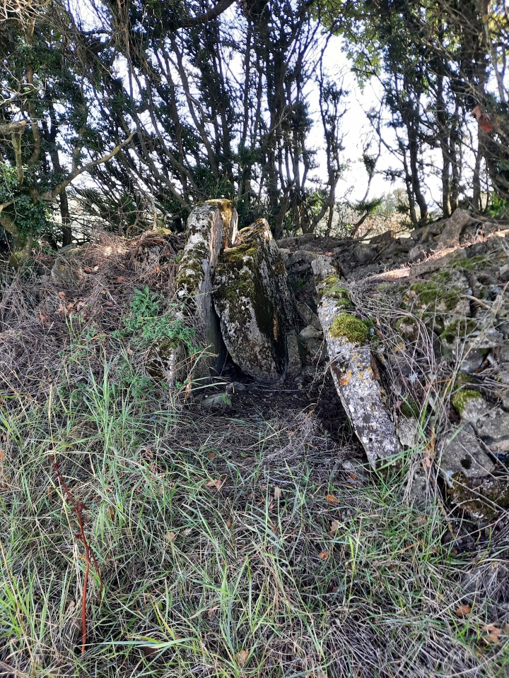 Click for the gallery page to add comments and vote (PID:236348) Dolmen des Tourelles