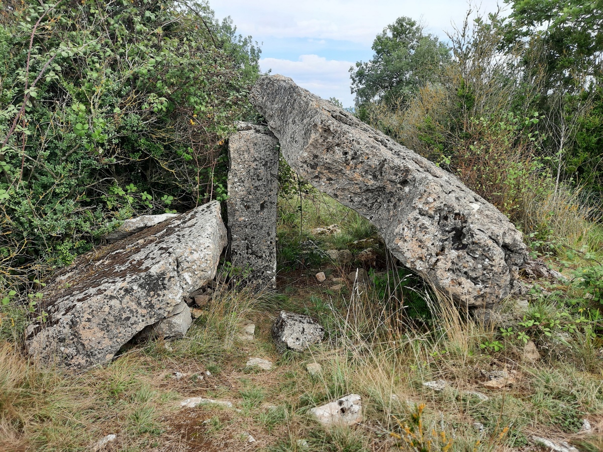 Click for the gallery page to add comments and vote (PID:236355) Dolmen du Borie Blanque 1