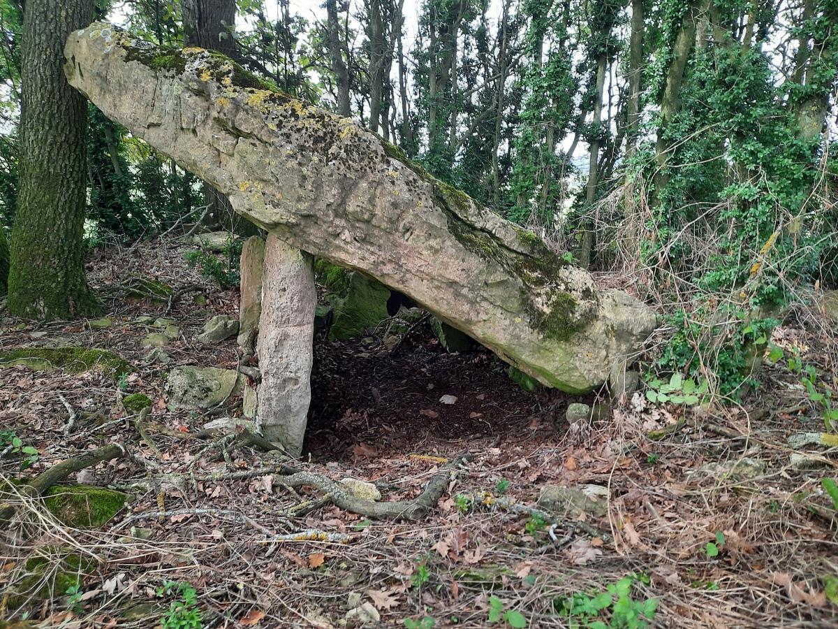 Click for the gallery page to add comments and vote (PID:236359) Dolmen des Esclots