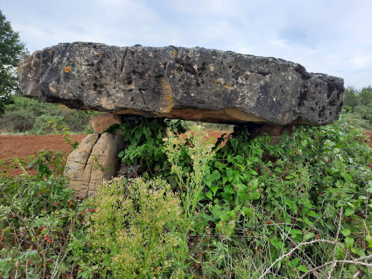 Click for the gallery page to add comments and vote (PID:236379) Dolmen du Rajal