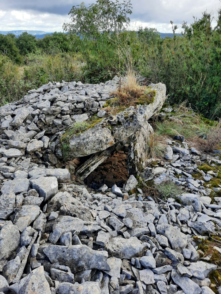 Click for the gallery page to add comments and vote (PID:236418) Dolmen de Nissac Sud