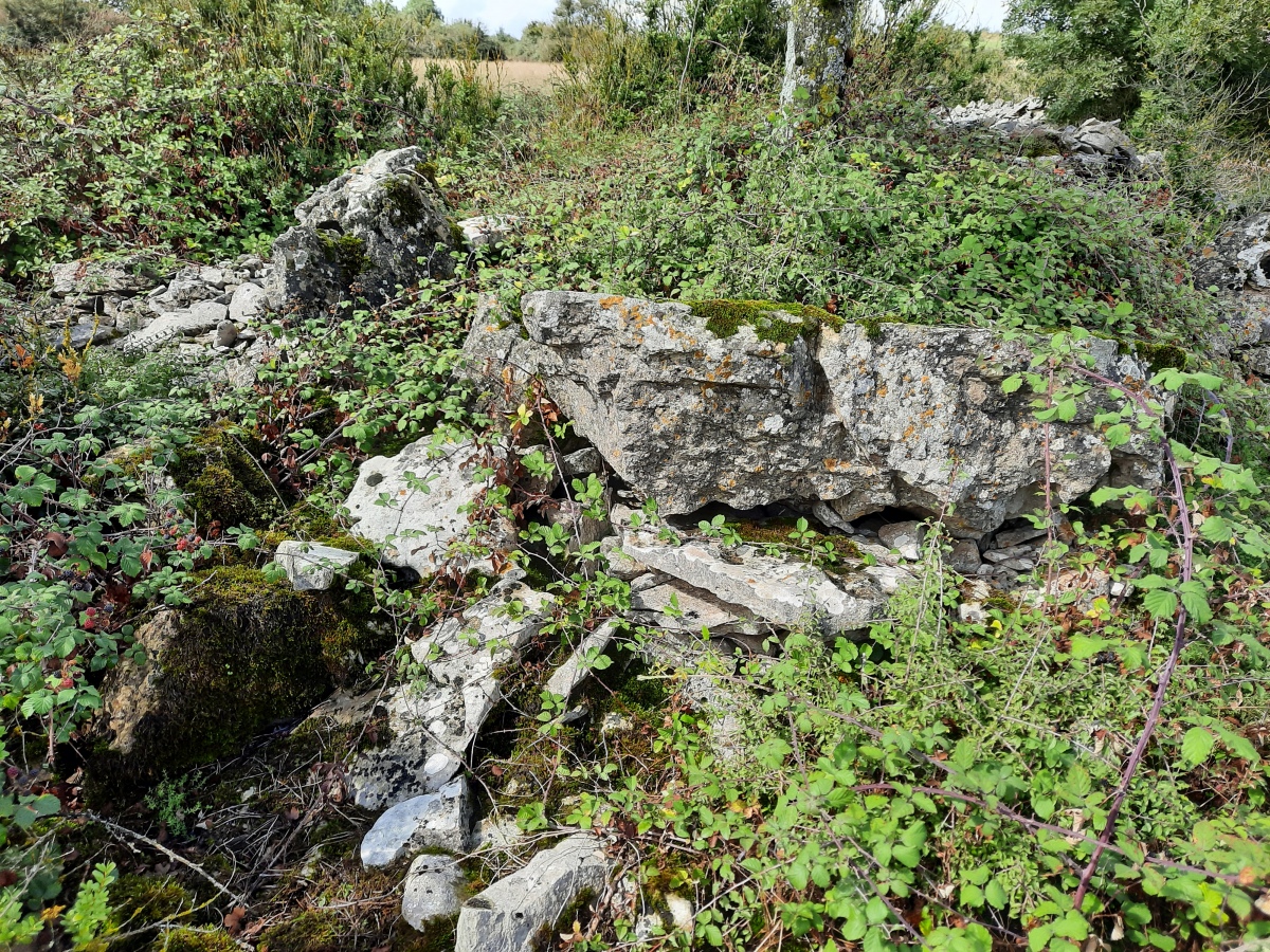 Click for the gallery page to add comments and vote (PID:236421) Dolmen de Nissac Nord