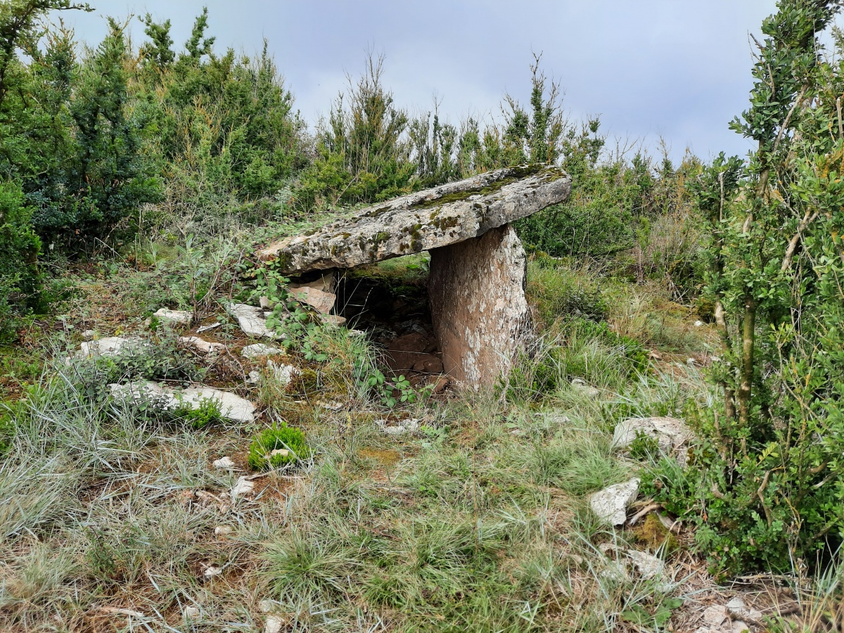 Click for the gallery page to add comments and vote (PID:236426) Dolmen d'Hermilix