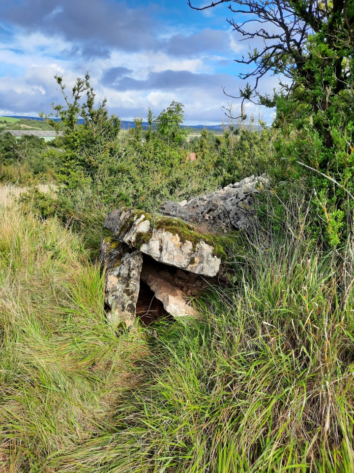 Click for the gallery page to add comments and vote (PID:236431) Dolmen de Cabanis