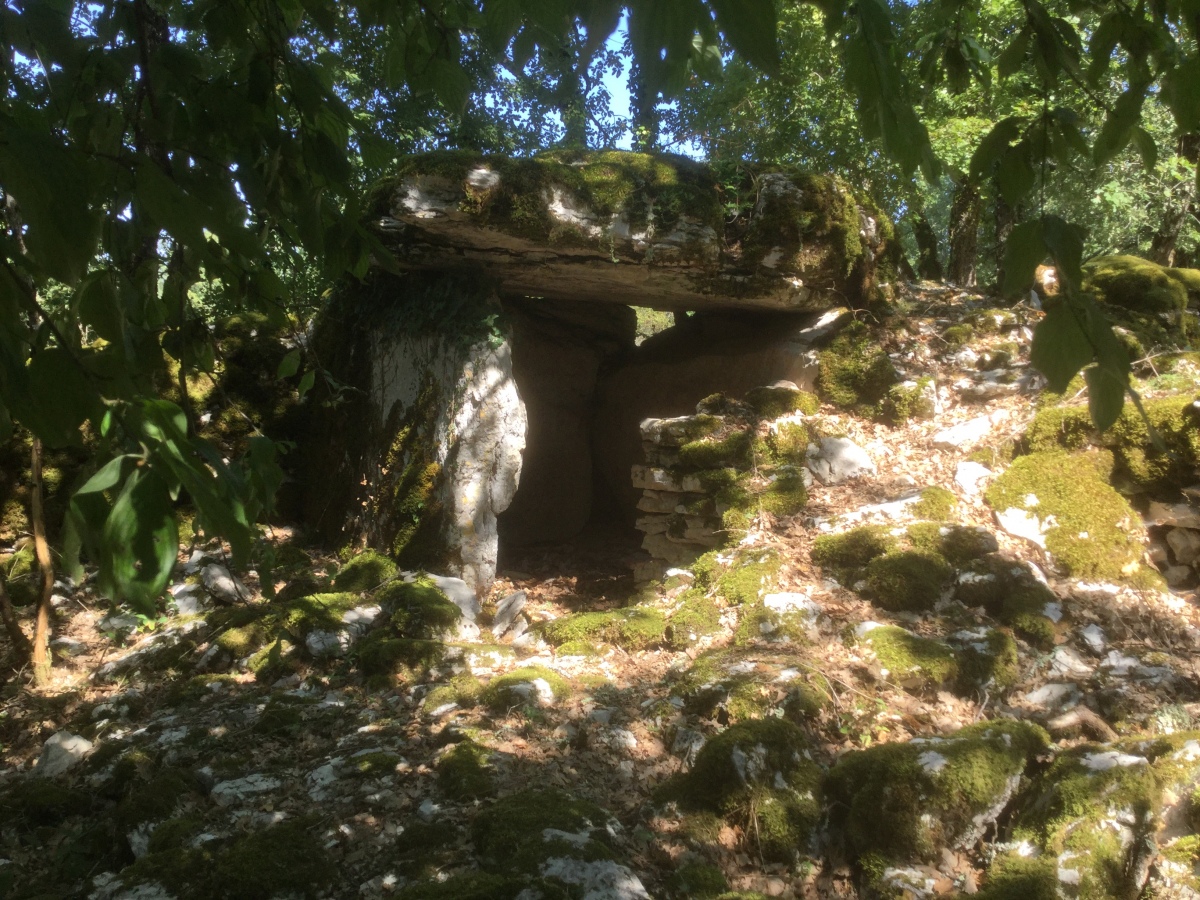 Click for the gallery page to add comments and vote (PID:201785) Dolmen de Pech Joly