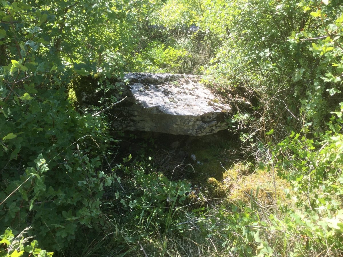 Click for the gallery page to add comments and vote (PID:201784) Dolmen de Pech Laviole