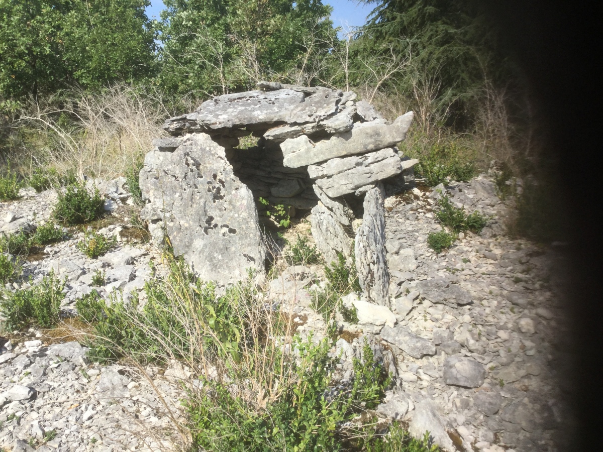Click for the gallery page to add comments and vote (PID:201788) Dolmen de Pech de Montbrun 2