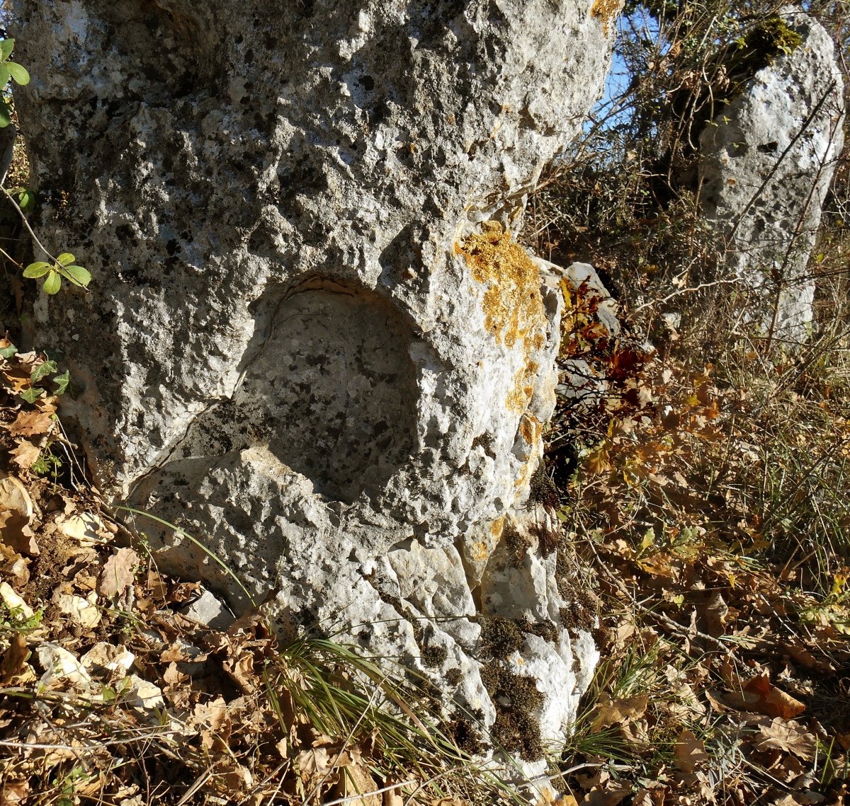 Bach menhirs
