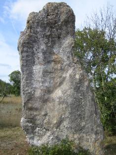 I suggest to rename Livernon Menhir as Belinac Menhir, its local name.
From Livernon (Lot, 46), heading SE towards the road joining Cahors and Figeac towns, a sign indicates Belinac Menhir on the right side. 600 meters and this outstanding monolith appears.
It is 3.50 meters high, 0.40 m wide, and large from 1.50m (base), to 1.90 m (middle) and 1.00m (top).

