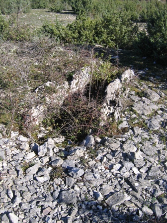 Chenil dolmen