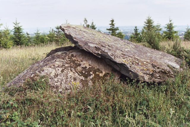 Dolmen de Peyre Levade CRESPIN Tarn (81) France
Dalle de couverture ayant glissé