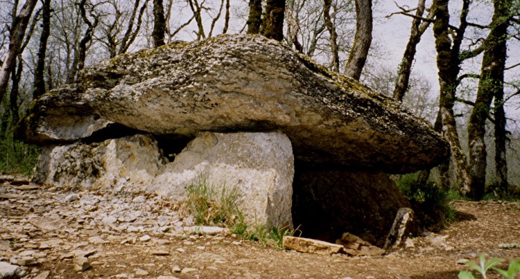 Dolmen du Bois del Rey