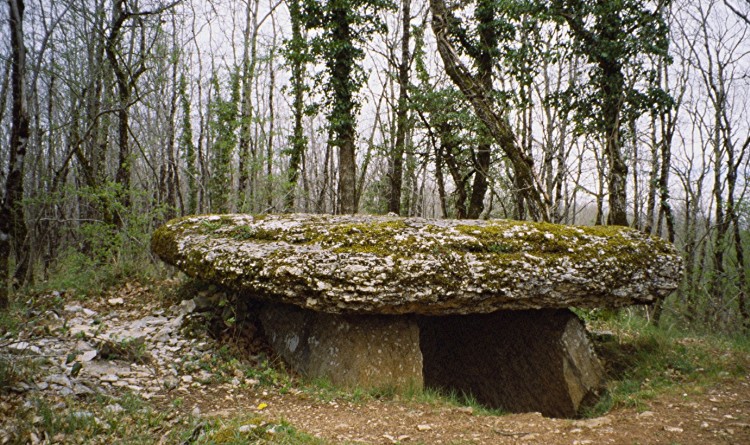 Click for the gallery page to add comments and vote (PID:15244) Dolmen de Peyco Levado