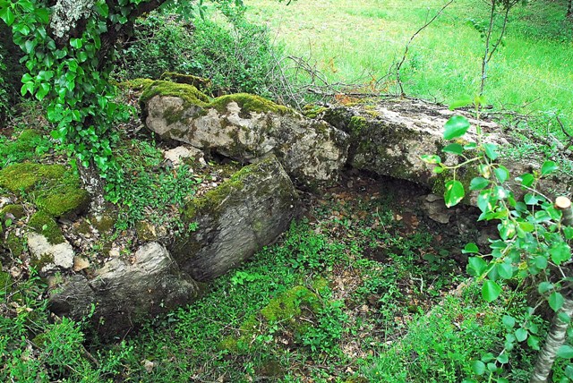 Dolmen des Teulières