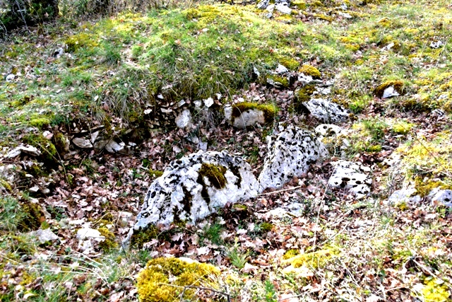 Dolmen de la Garrigue (Cazals)