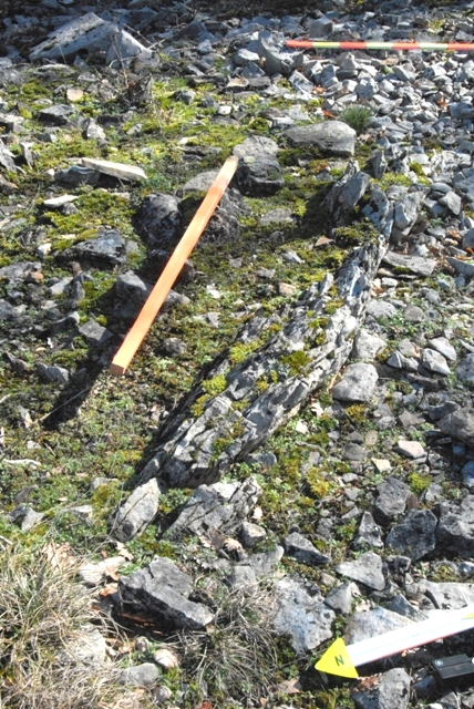 Site in Midi: Dolmen du Rouzet LARROQUE Tarn (81) France
Un des orthostates affleurant et incliné