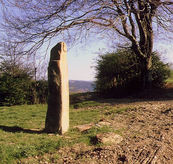 Click for the gallery page to add comments and vote (PID:32517) Menhir de Duganaoud