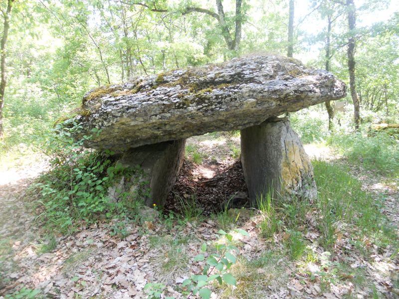 Click for the gallery page to add comments and vote (PID:77142) Dolmen de Martignes
