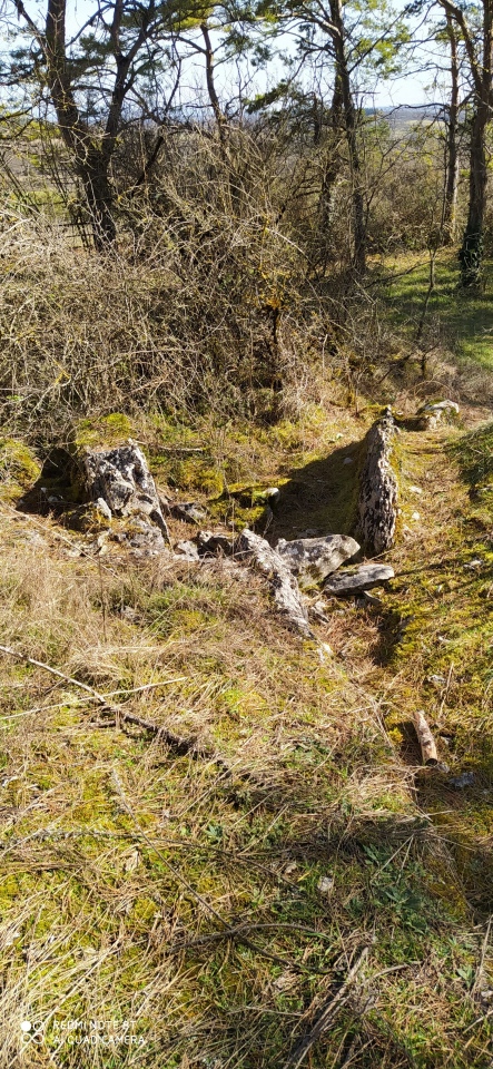 Dolmen de Peyrelebade 2