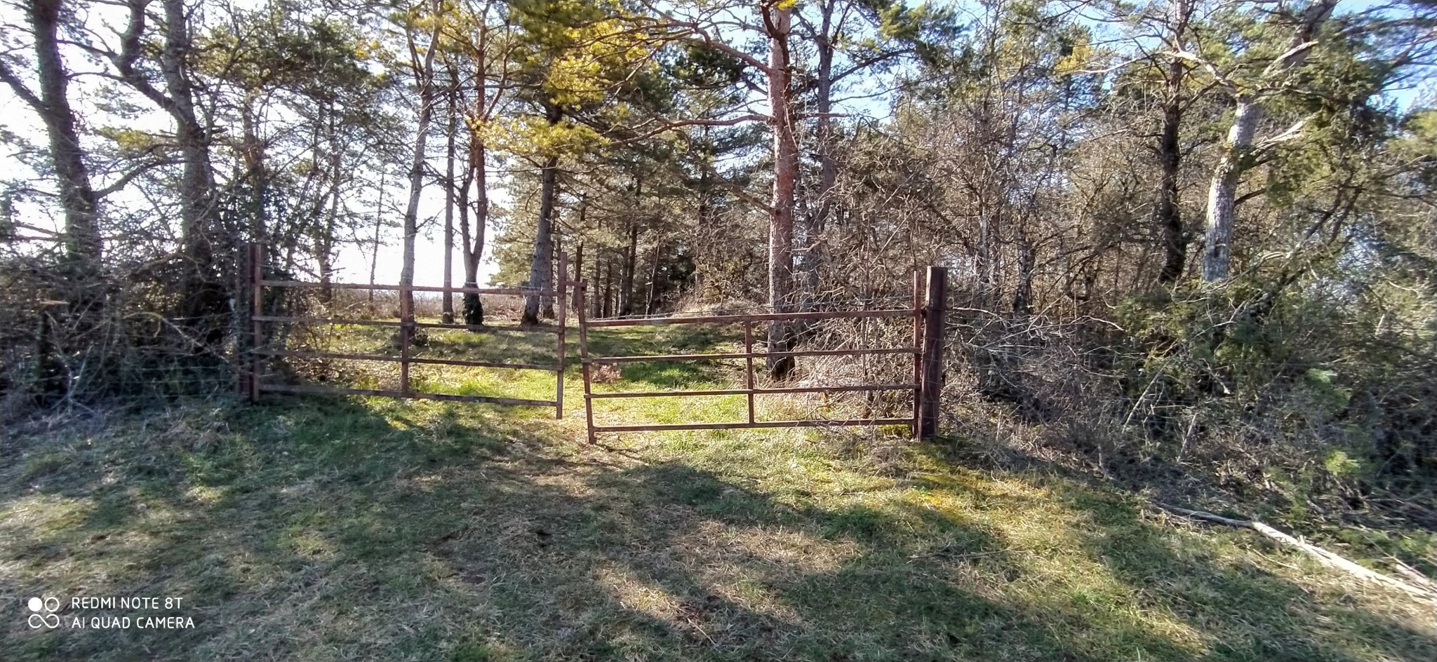 Dolmen de Peyrelebade 2