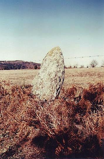 Menhir de la Crosse 1