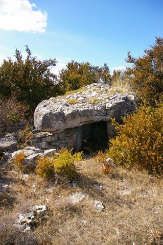 Dolmen du Puech del Pous 1