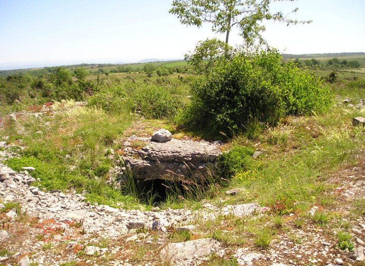 Click for the gallery page to add comments and vote (PID:15194) Genévrier dolmen