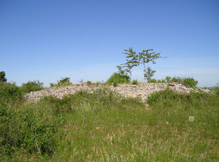 Click for the gallery page to add comments and vote (PID:15193) Genévrier dolmen 1