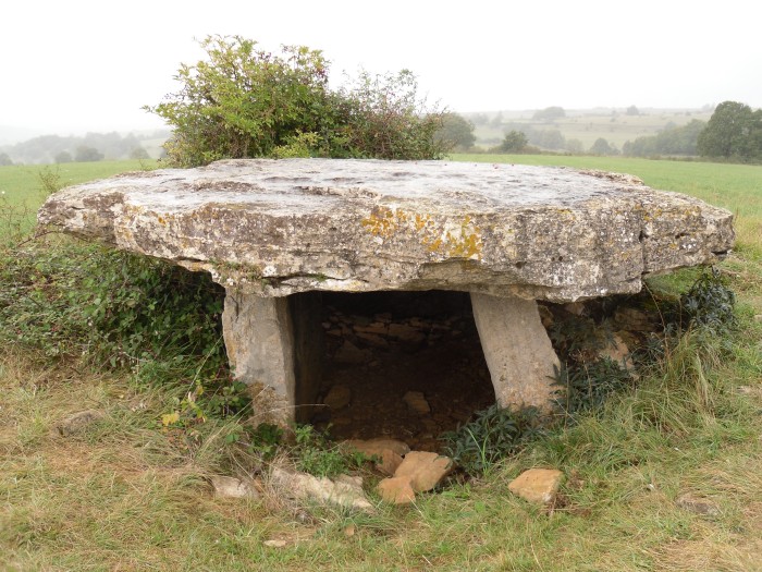 Dolmen de Saplous 2