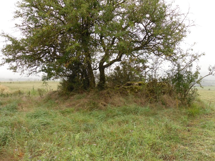 Dolmen de Saplous 1