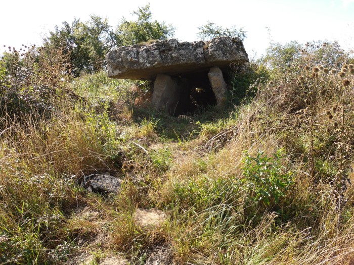 Buzareingues dolmen 1