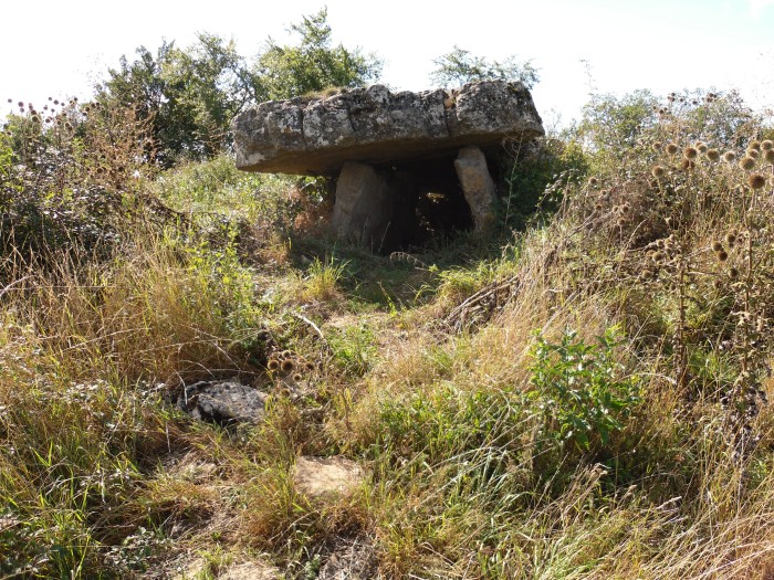 Click for the gallery page to add comments and vote (PID:83681) Buzareingues dolmen 1