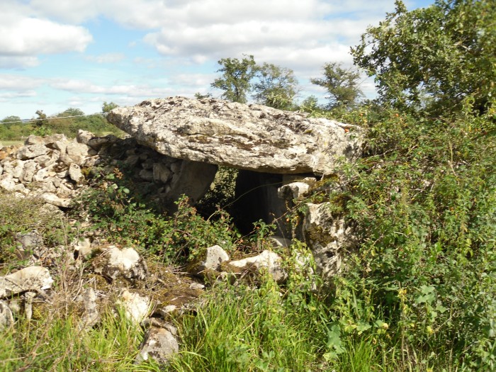 Click for the gallery page to add comments and vote (PID:83806) Dolmen de Saint-Amans-de-Varès 1
