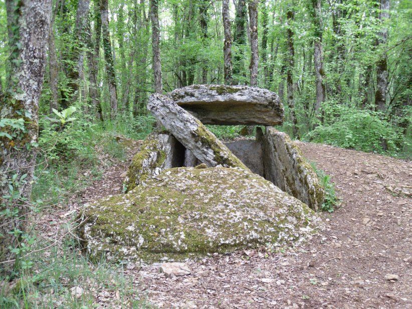 Dolmen du Devès des Gleyettes 1