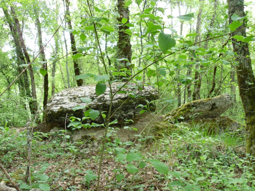 Dolmen du Devès des Gleyettes 1