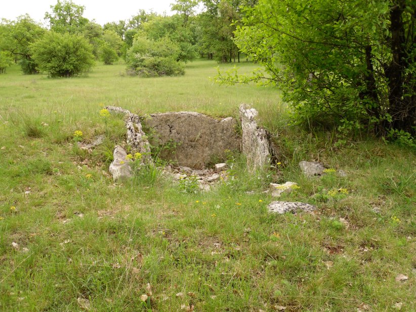 Dolmen du Devès des Gleyettes 2
