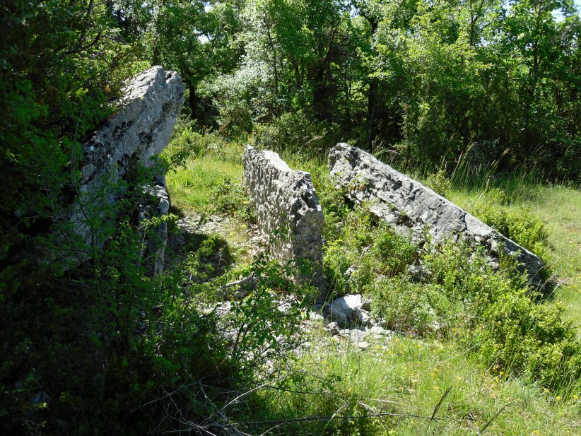Click for the gallery page to add comments and vote (PID:121463) Dolmen de Pech Grillé