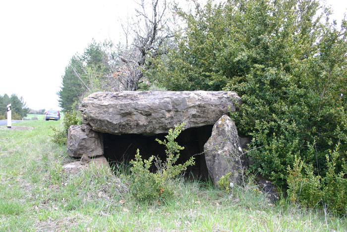 Azinières dolmen 1