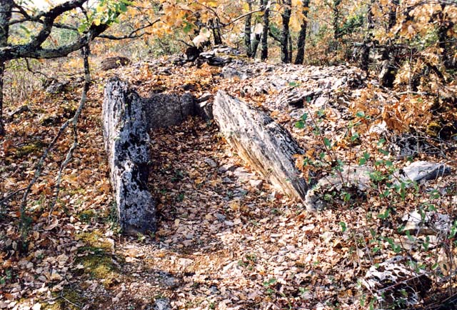 The commune of Septfonds in Le Tarn et Garonne contains at least 15 dolmens.

People in the area speak of a time when the capstone was still in place.