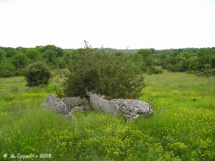 Dolmen des Calcas