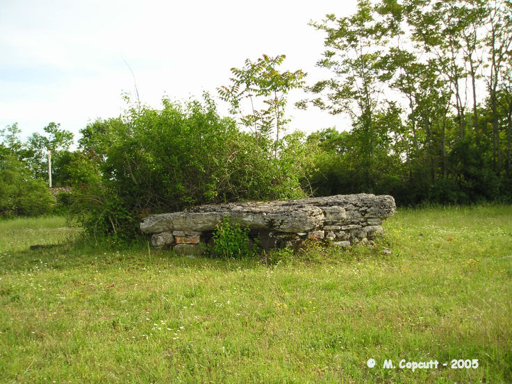 Mons dolmen 1