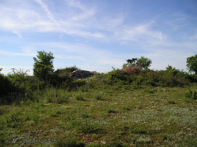 Dolmen du Pech Laglayre 0