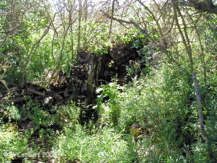 Dolmen de Saplous 1