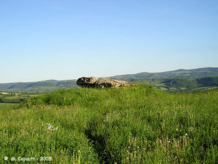 Buzareingues dolmen 1