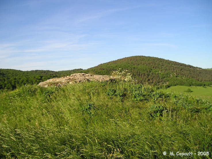 Buzareingues dolmen 1
